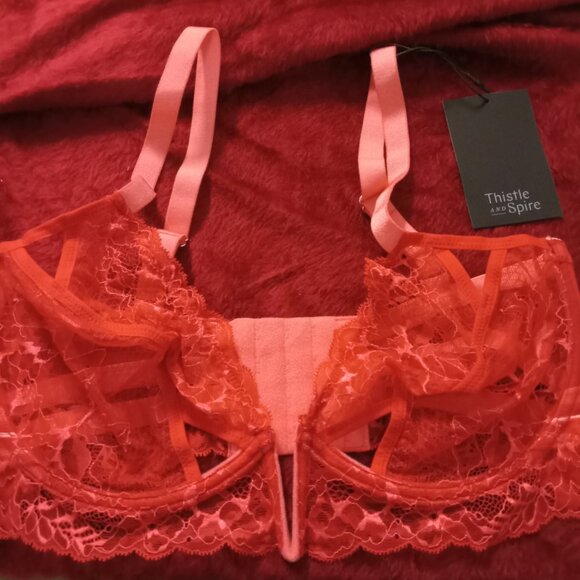 Thistle and Spire KANE Bra chili red pink HOT full cup unlined lace NWT 32F 34F - Picture 2 of 2